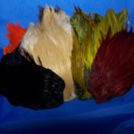 Dyed Grade #1 Indian Cock Cape