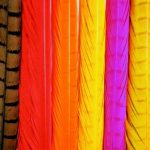Pheasant Tail - Colour Extracted