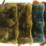 Dyed Mole