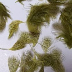 Partridge 1gm Pack of Hackles