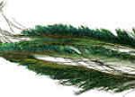 Peacock Swords