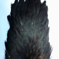 Bronte Hen Saddle Natural Black