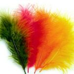 Marabou
