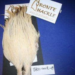 Bronte Hackle Cock Cape   cc-2019-2