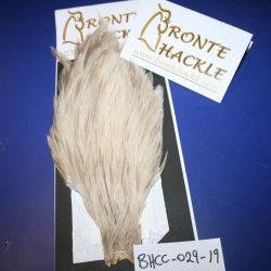 Bronte Hackle Cock Cape   cc-2019-29