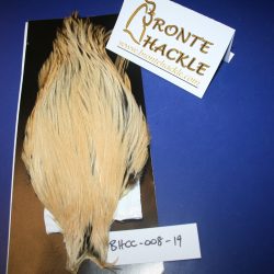 Bronte Hackle Cock Cape   cc-2019-8