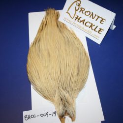 Bronte Hackle Cock Cape   cc-2019-9