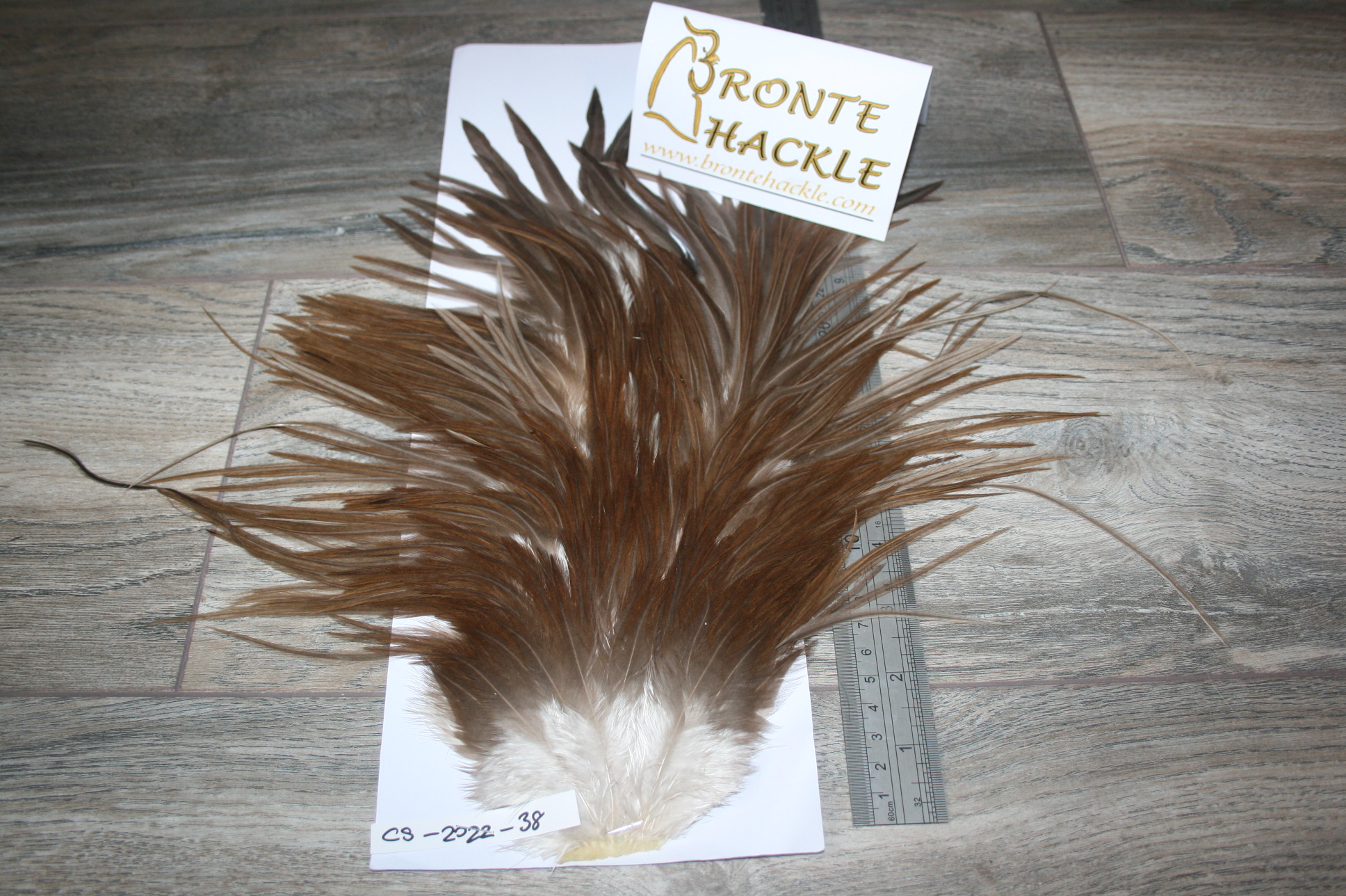 Bronte Hackle Cock Saddles  cs-2022-38