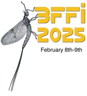 BFFI 2025