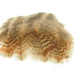 Brown Partridge Back