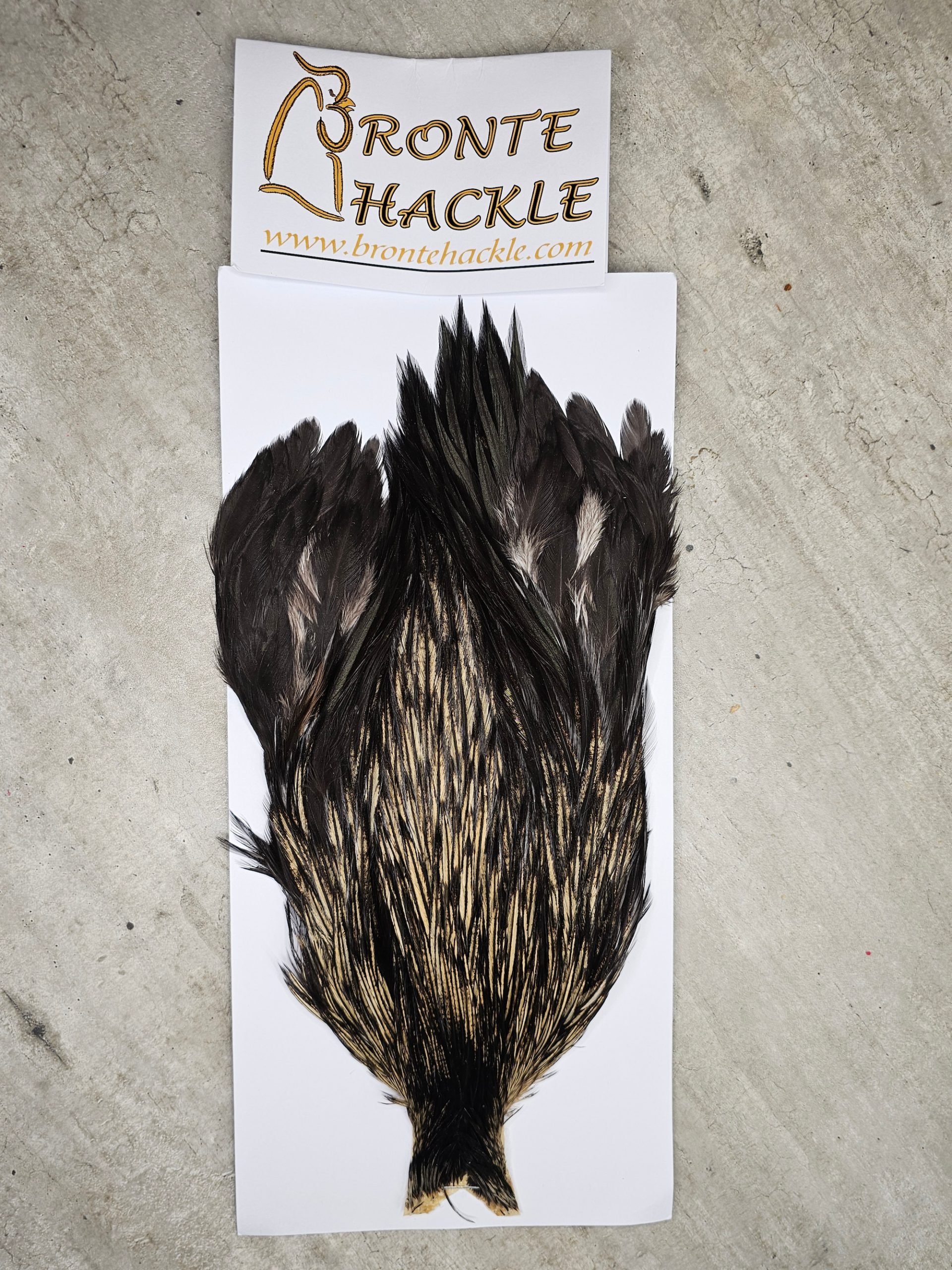 Bronte Hackle Cock Cape   cc-2026-03