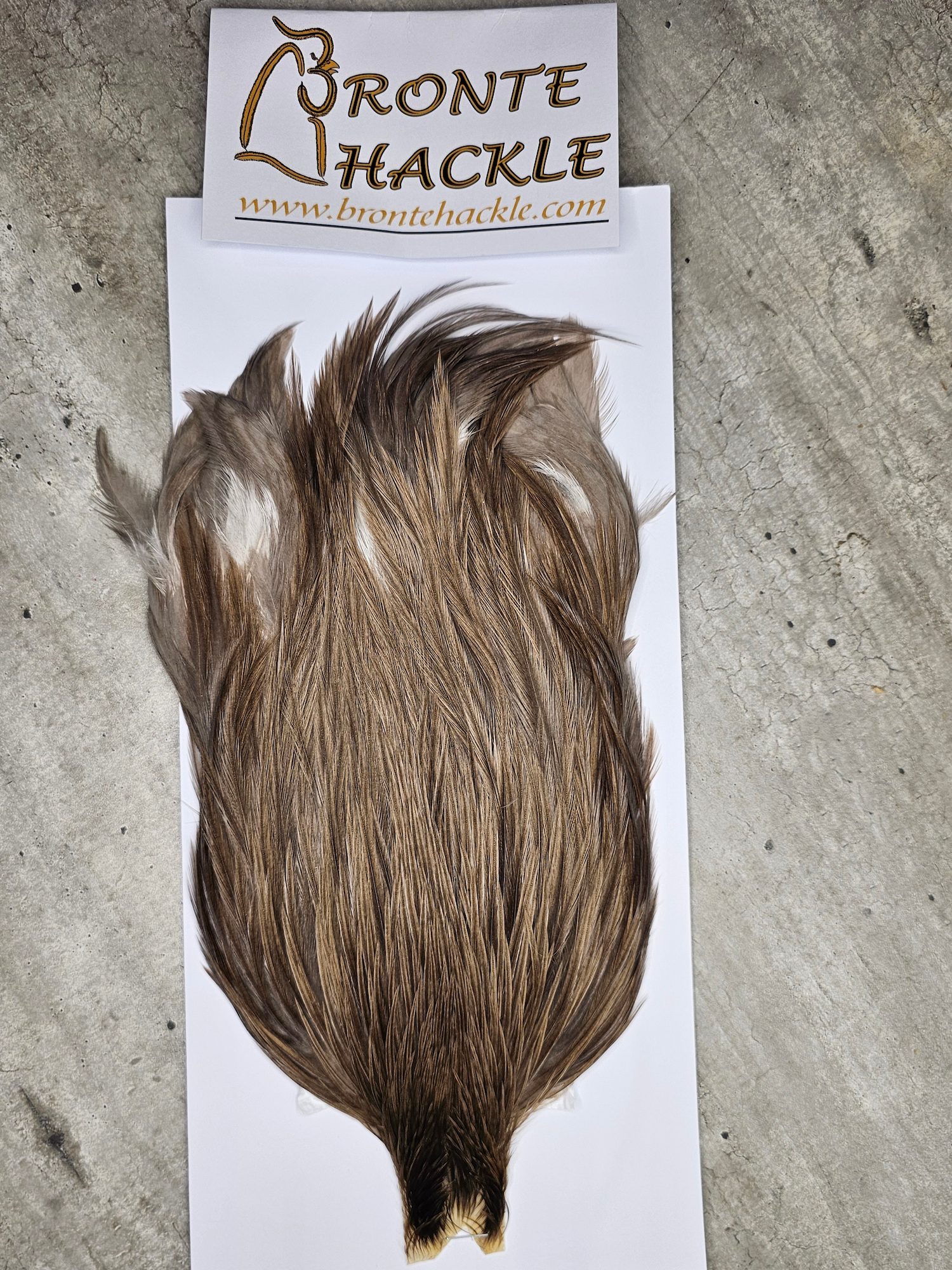 Bronte Hackle Cock Cape   cc-2026-01