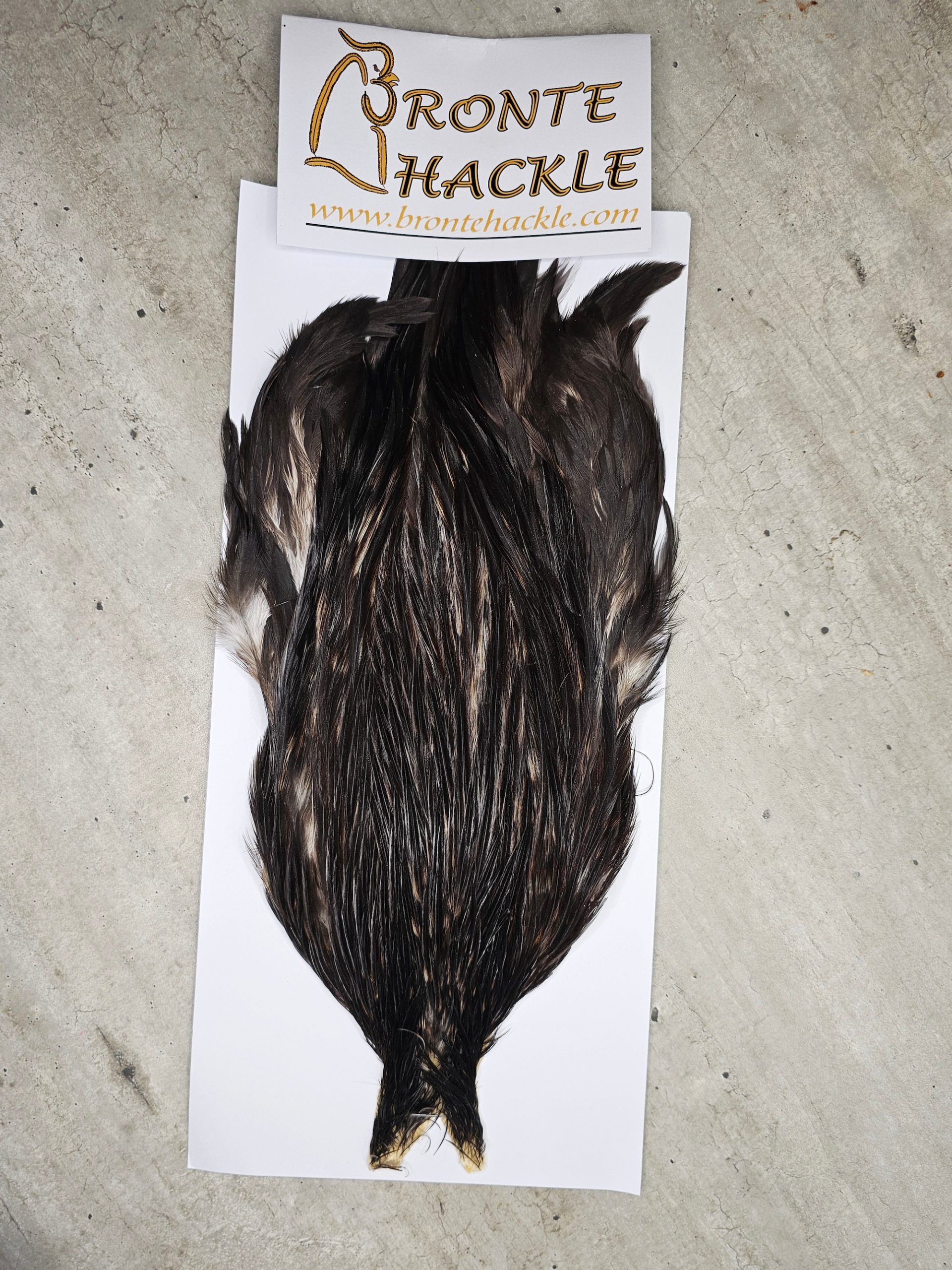 Bronte Hackle Cock Cape   cc-2026-05