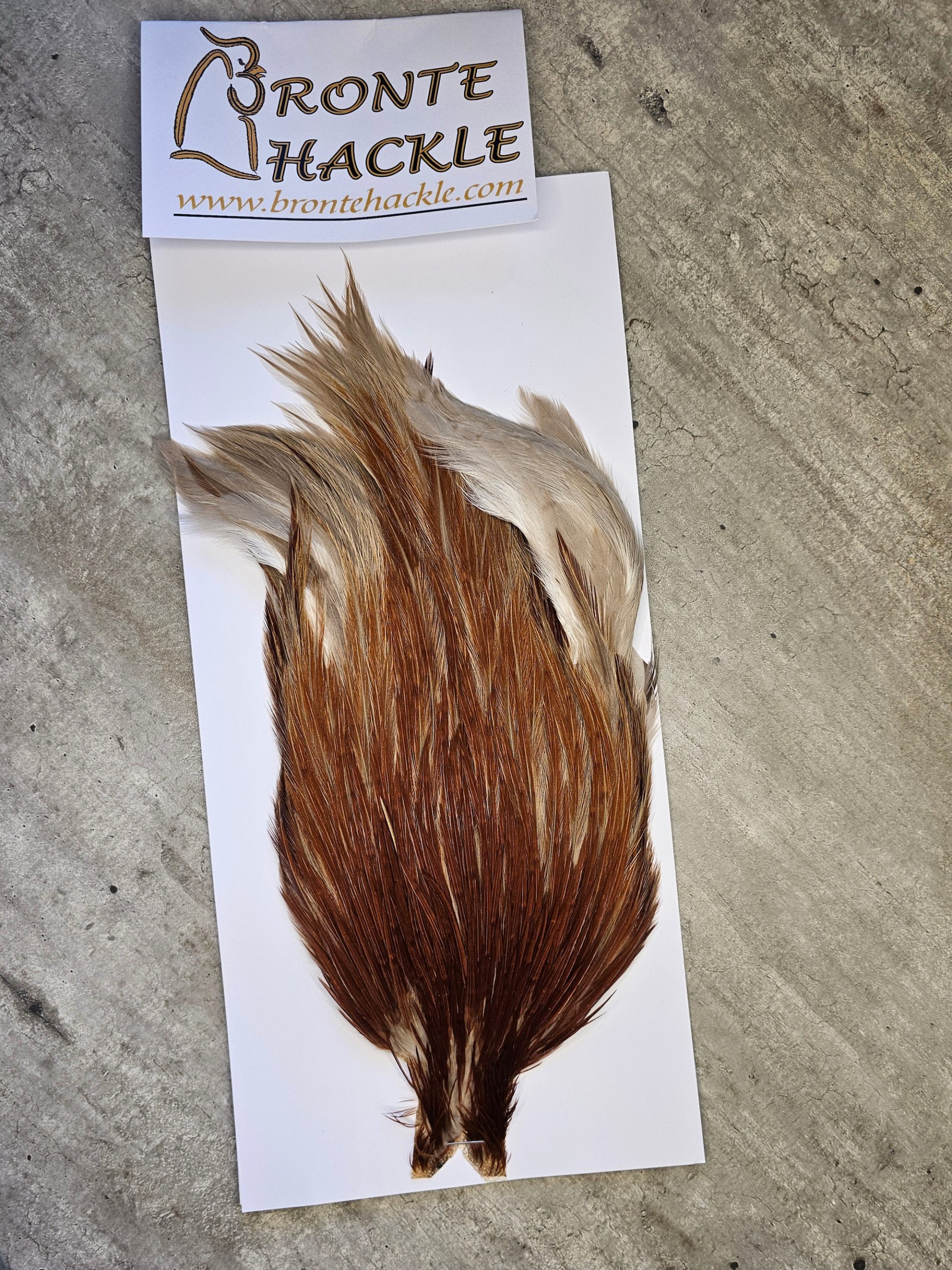 Bronte Hackle Cock Cape   cc-2026-07