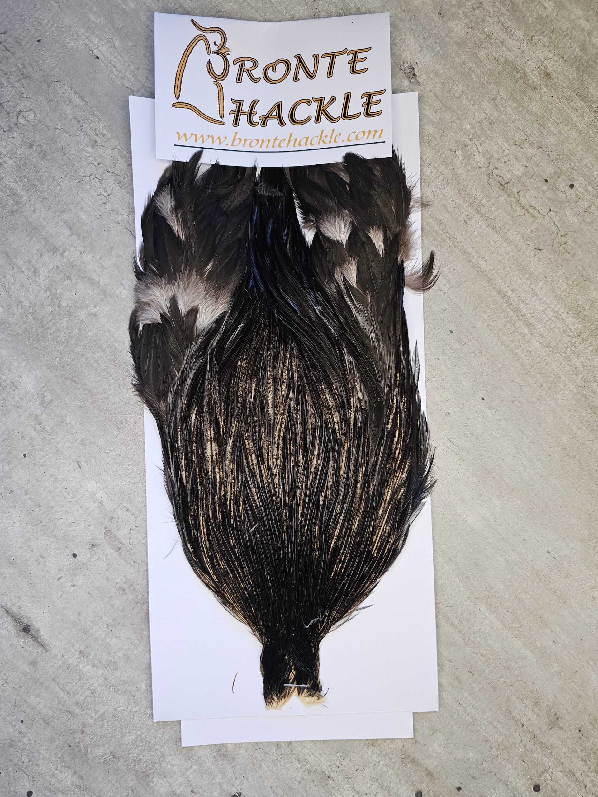 Bronte Hackle Cock Cape   cc-2026-08