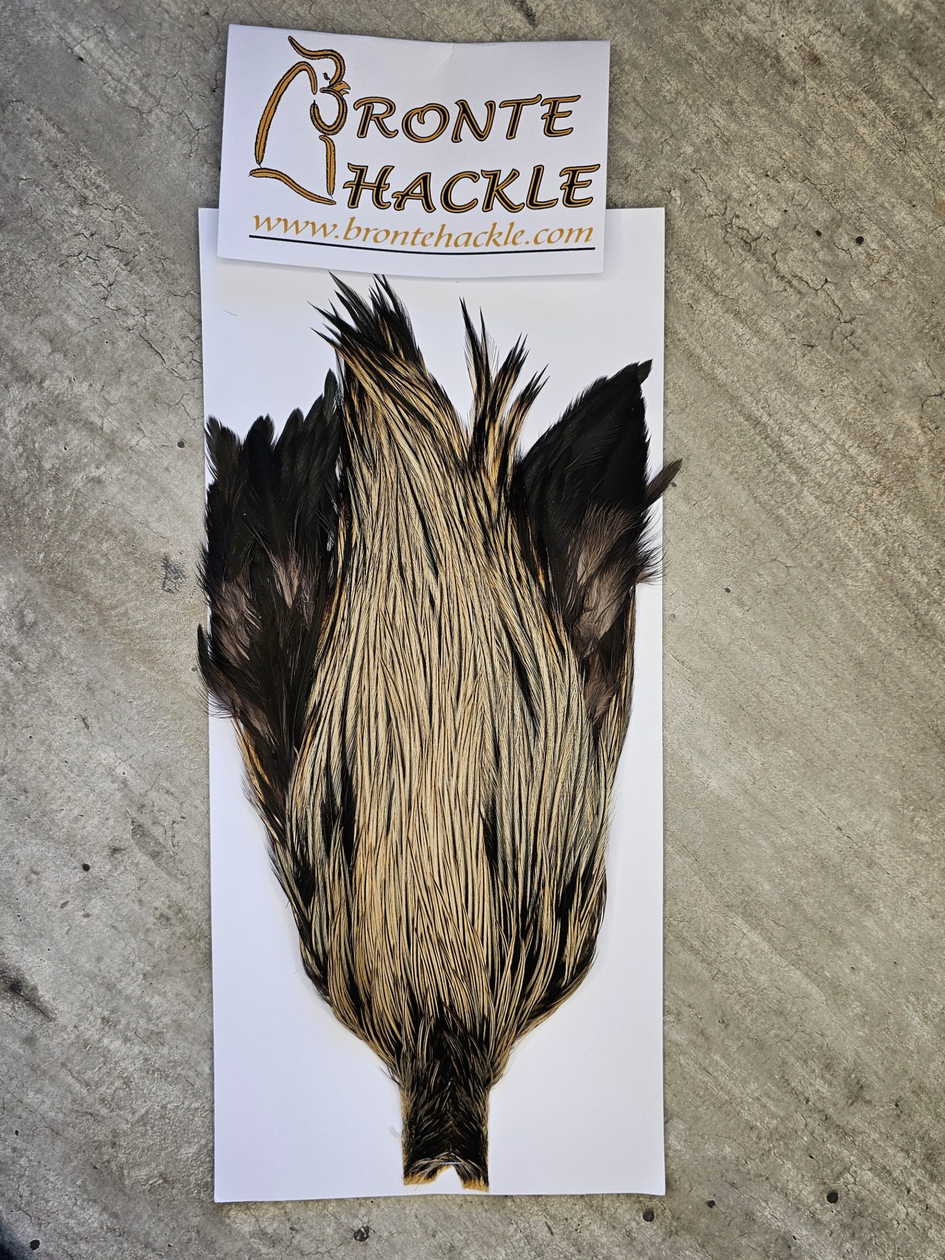 Bronte Hackle Cock Cape   cc-2026-09