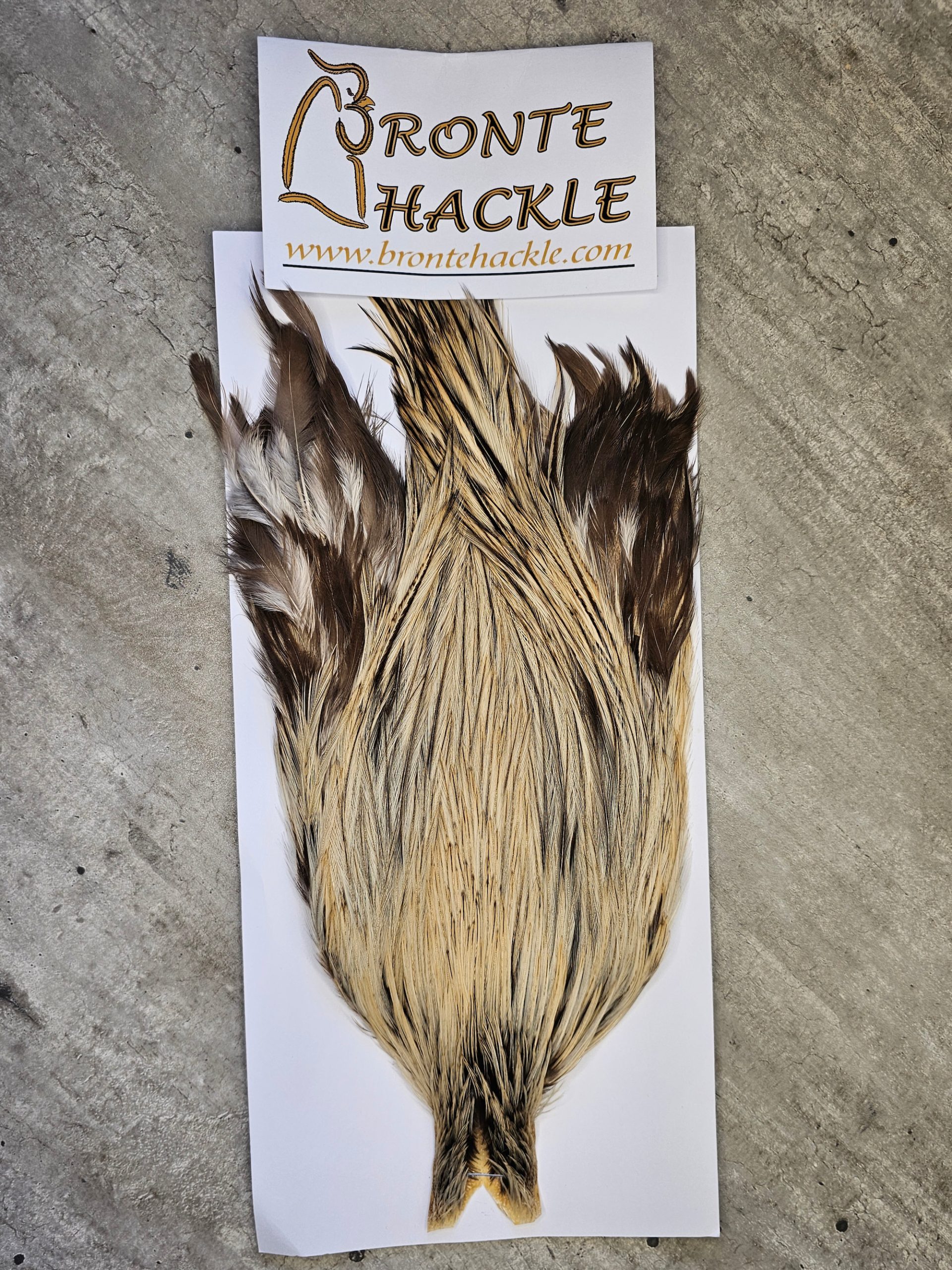 Bronte Hackle Cock Cape   cc-2026-16