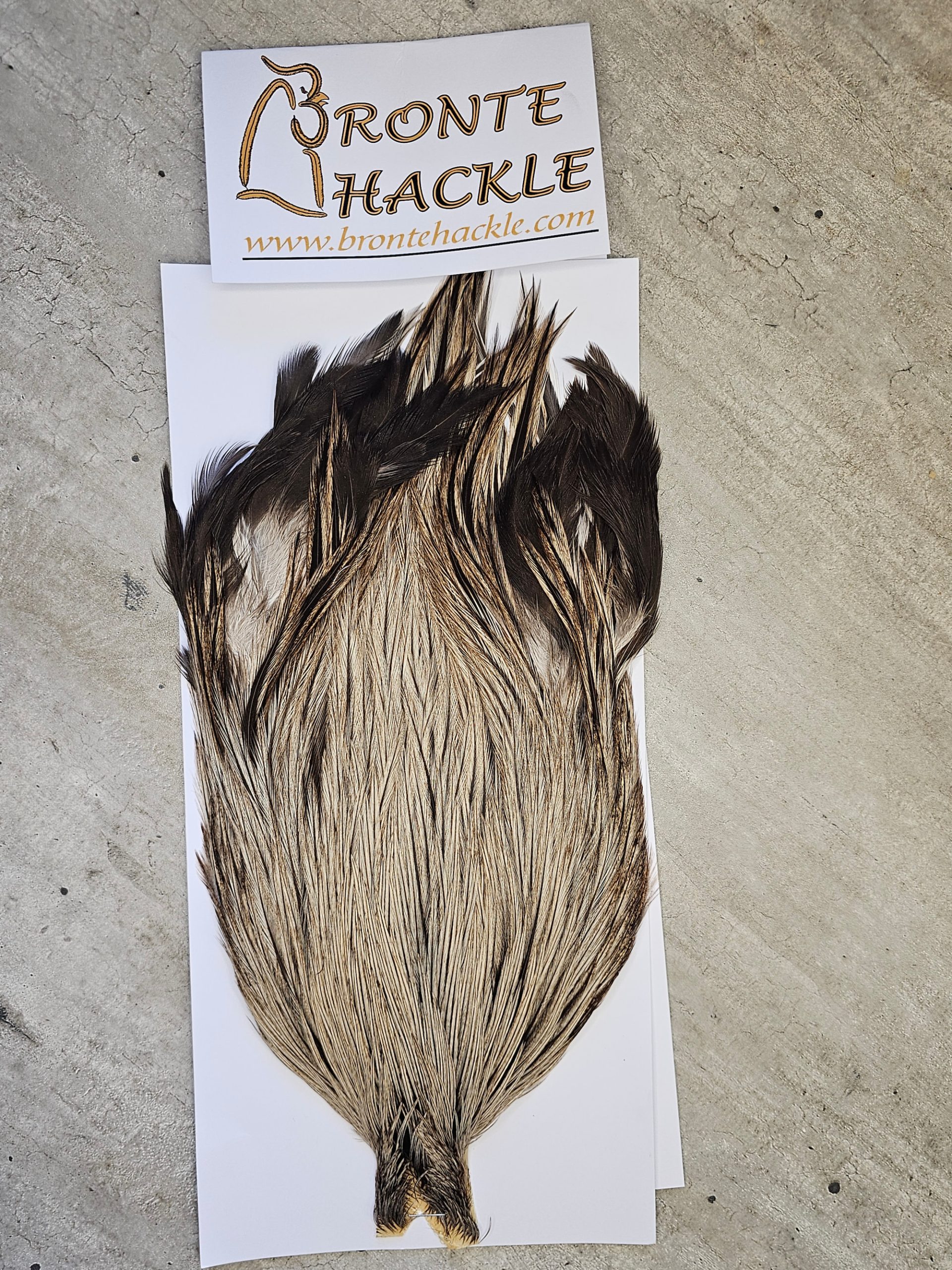 Bronte Hackle Cock Cape   cc-2026-12