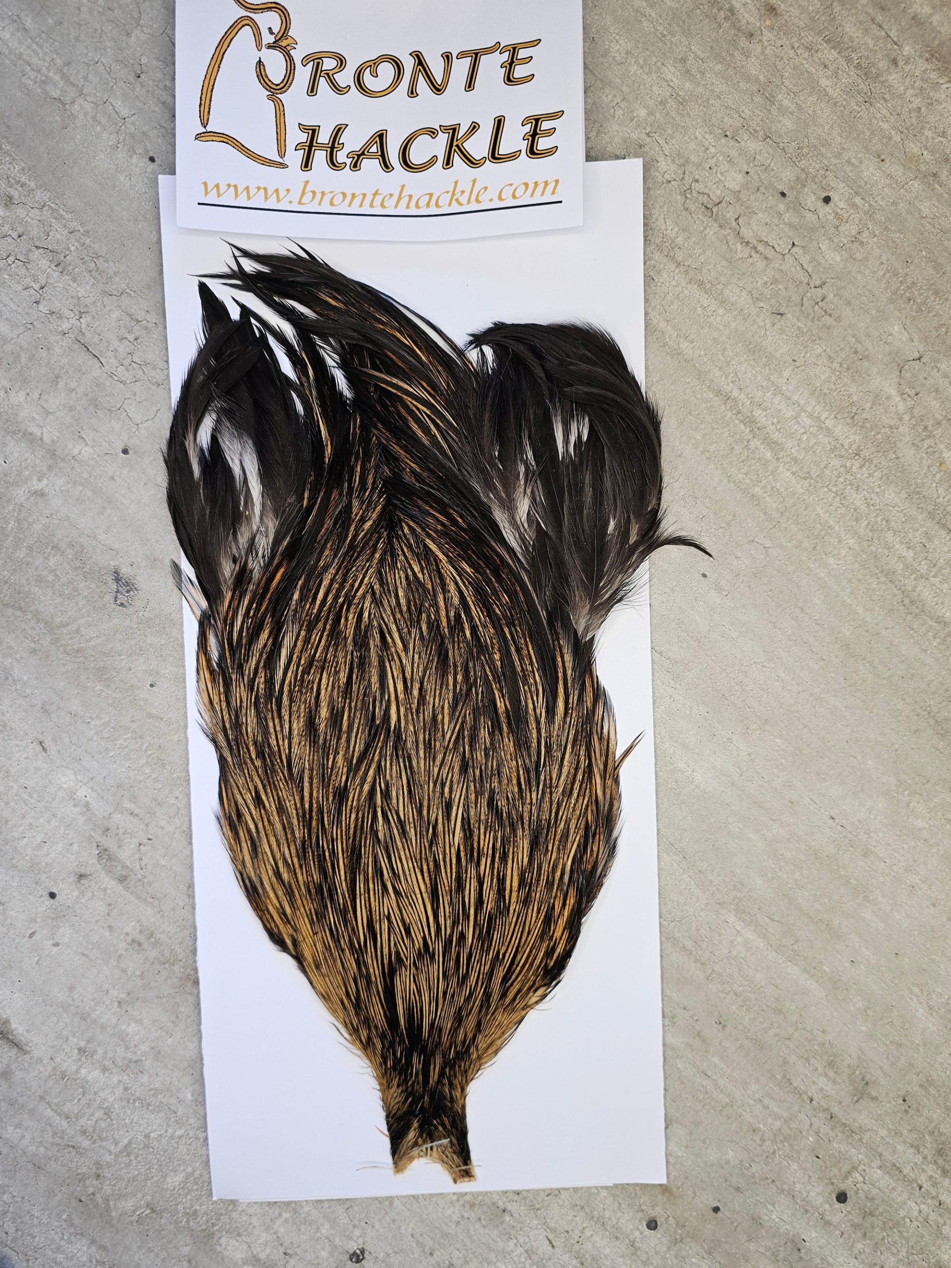 Bronte Hackle Cock Cape   cc-2026-13