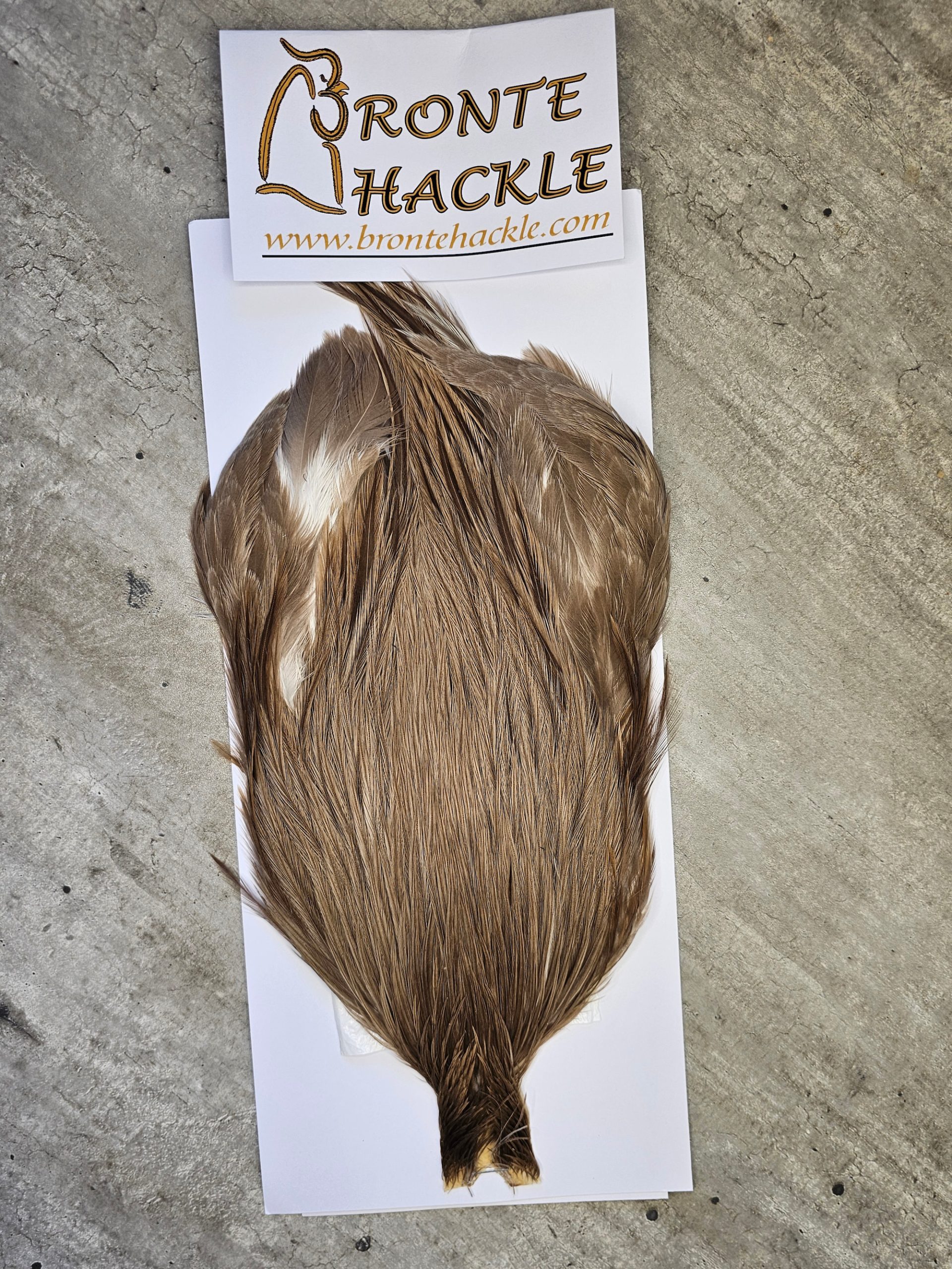 Bronte Hackle Cock Cape   cc-2026-14