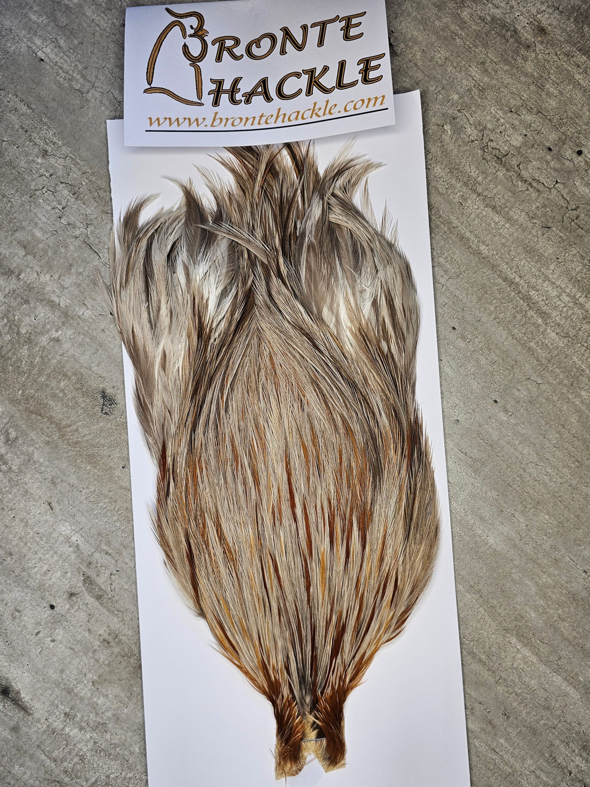 Bronte Hackle Cock Cape   cc-2026-17