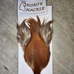 Bronte Hackle Cock Cape   cc-2026-18