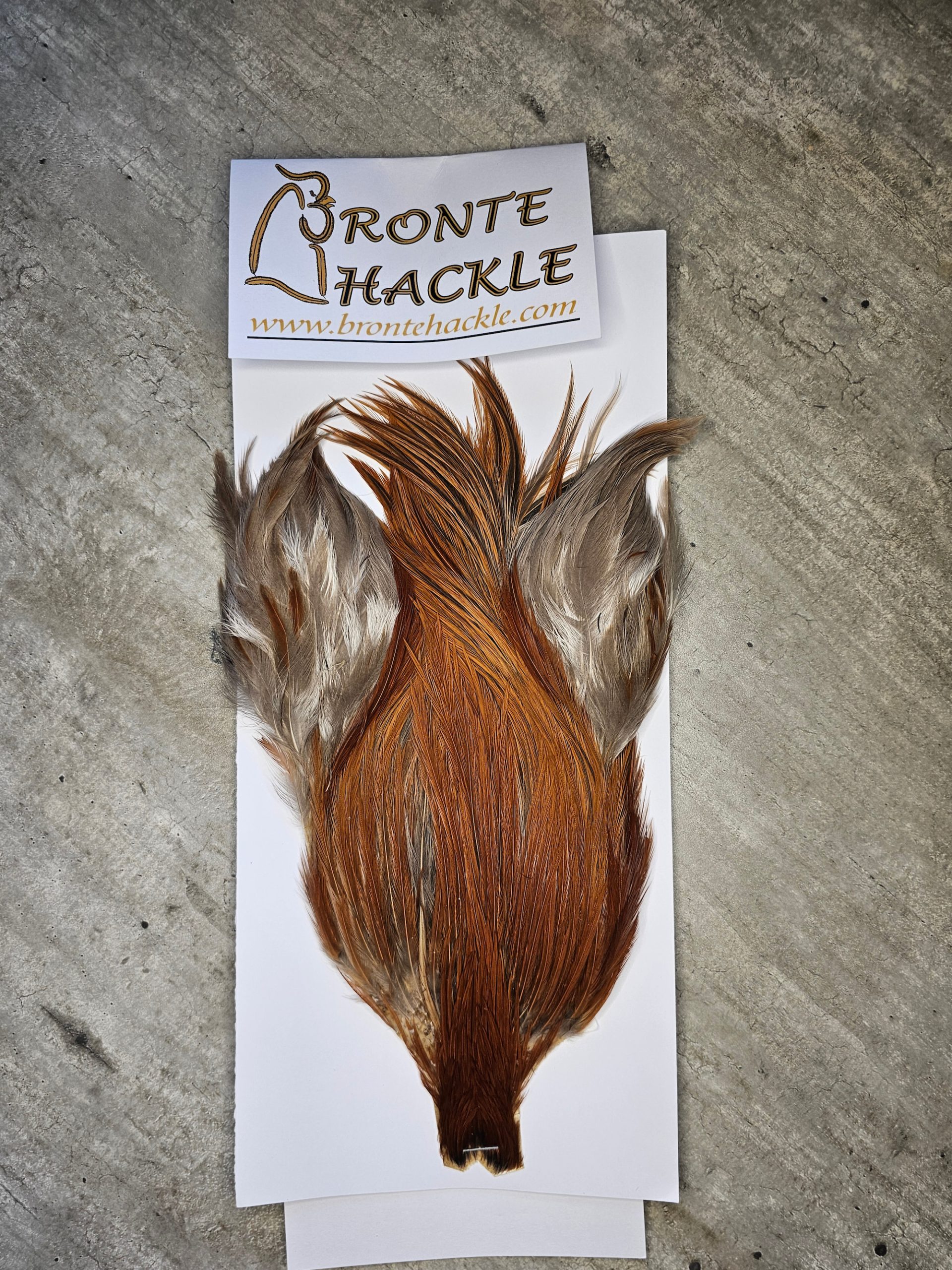 Bronte Hackle Cock Cape   cc-2026-18