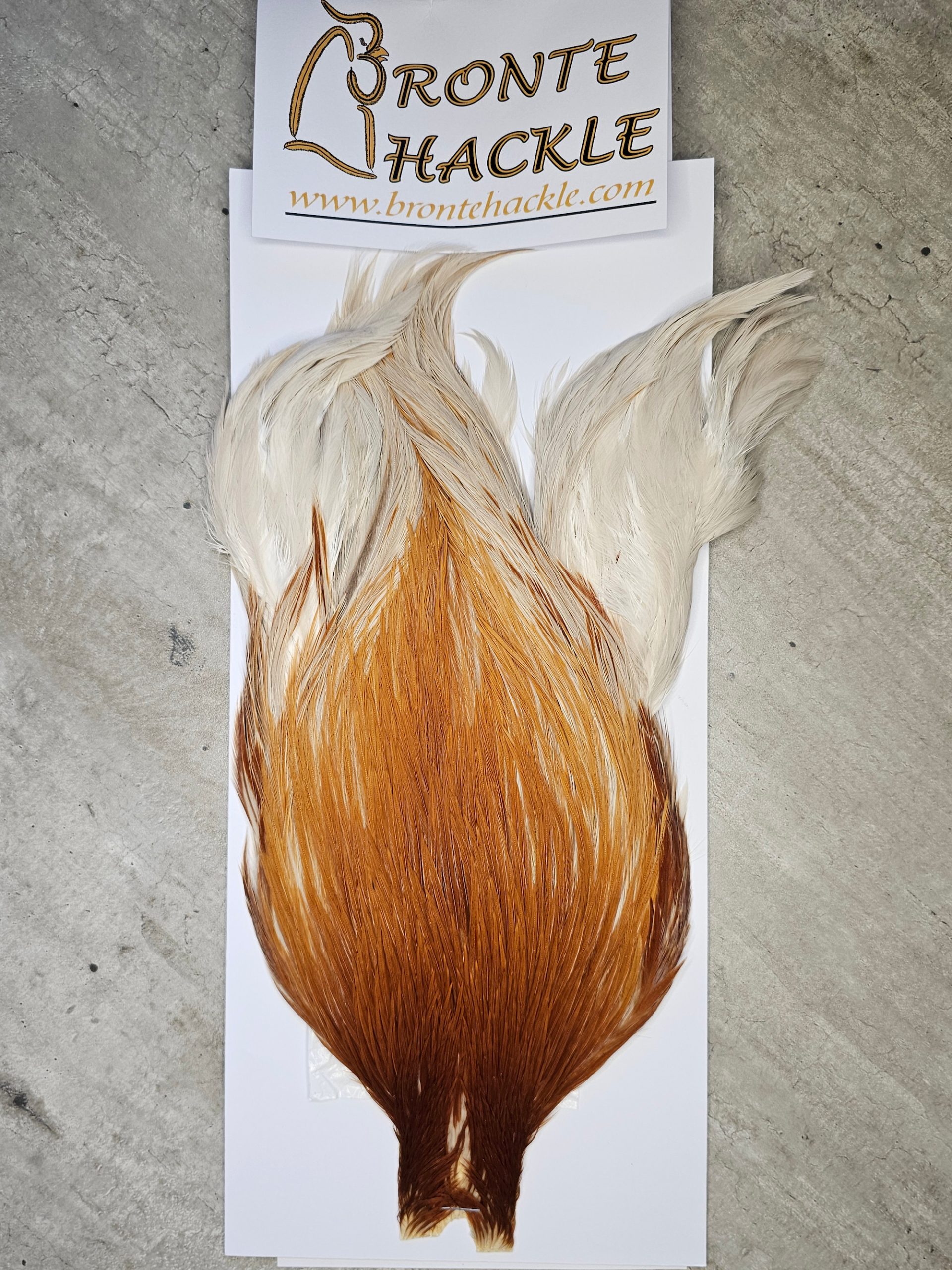 Bronte Hackle Cock Cape   cc-2026-20