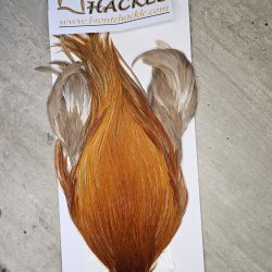 Bronte Hackle Cock Cape   cc-2026-21