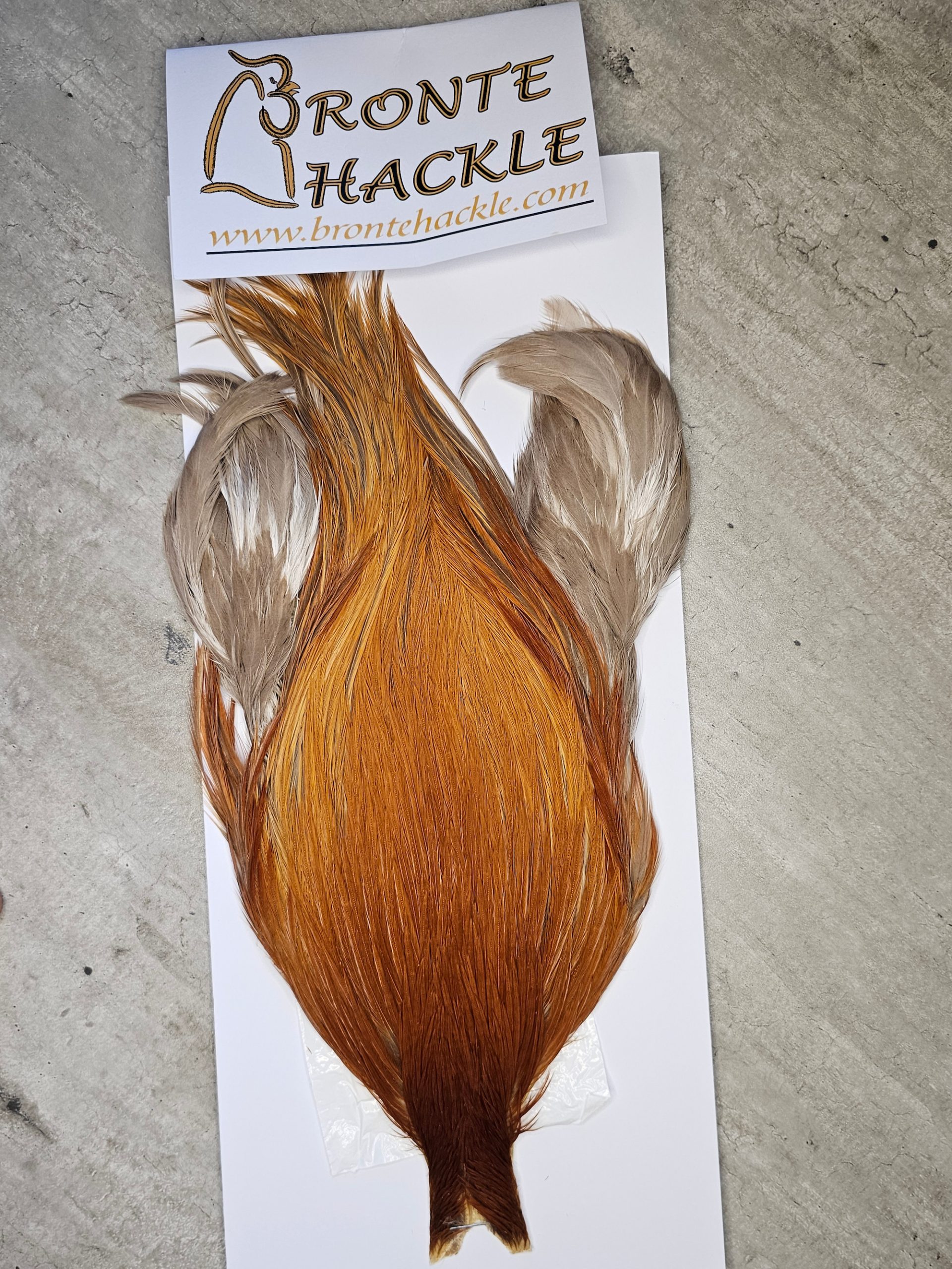 Bronte Hackle Cock Cape   cc-2026-21