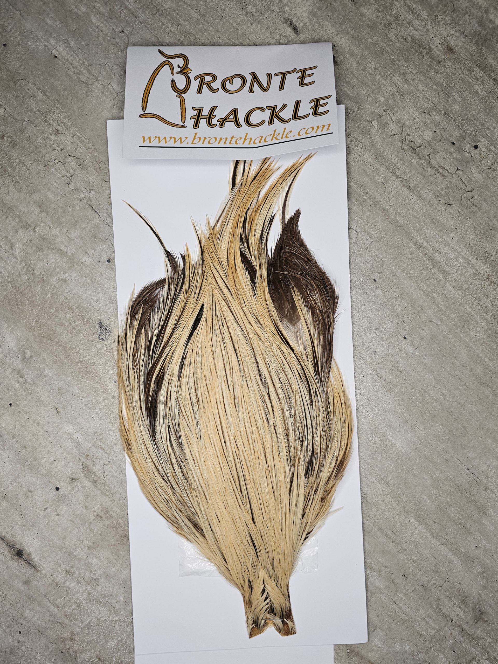 Bronte Hackle Cock Cape   cc-2026-22