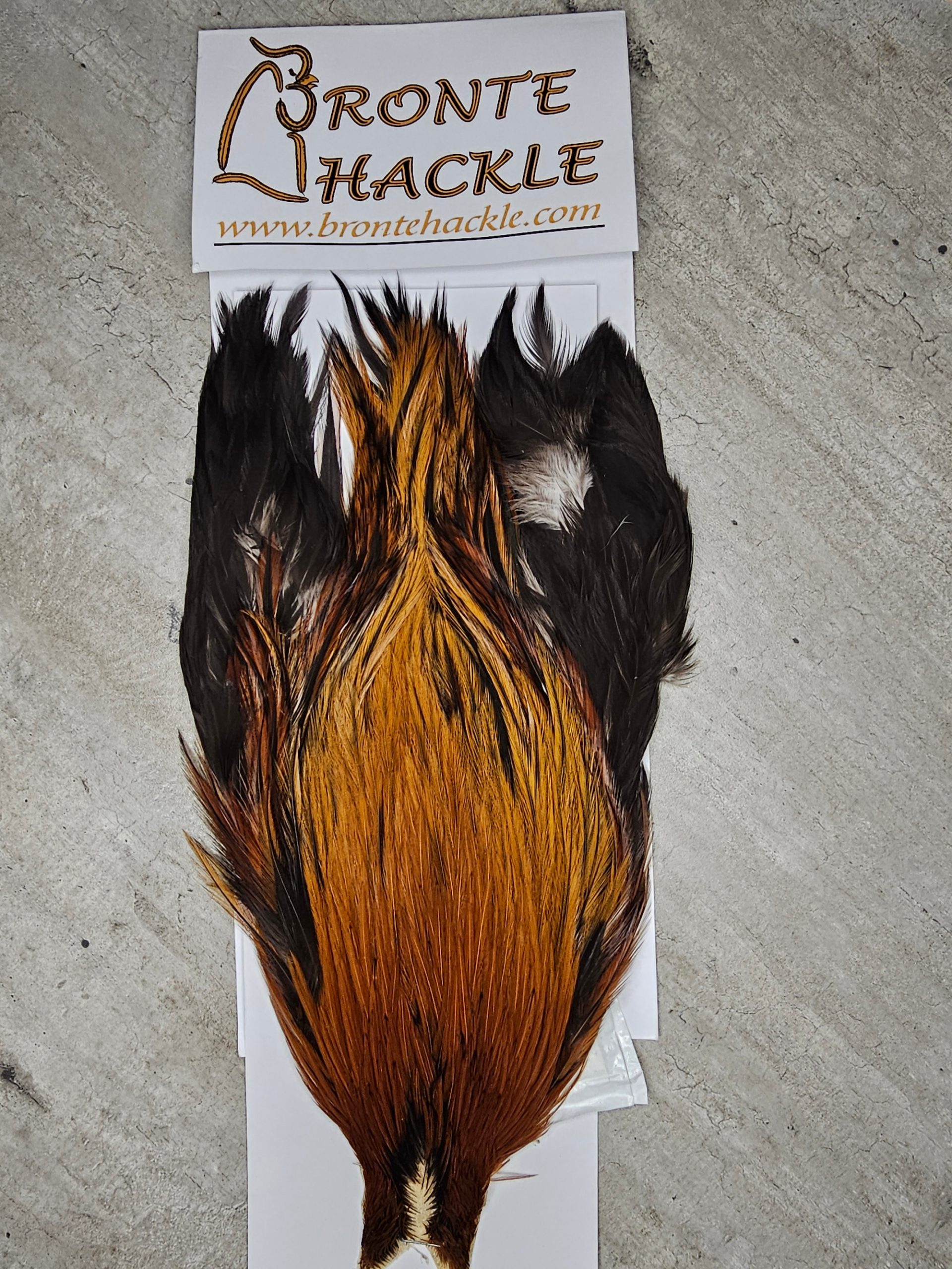 Bronte Hackle Cock Cape   cc-2019-44