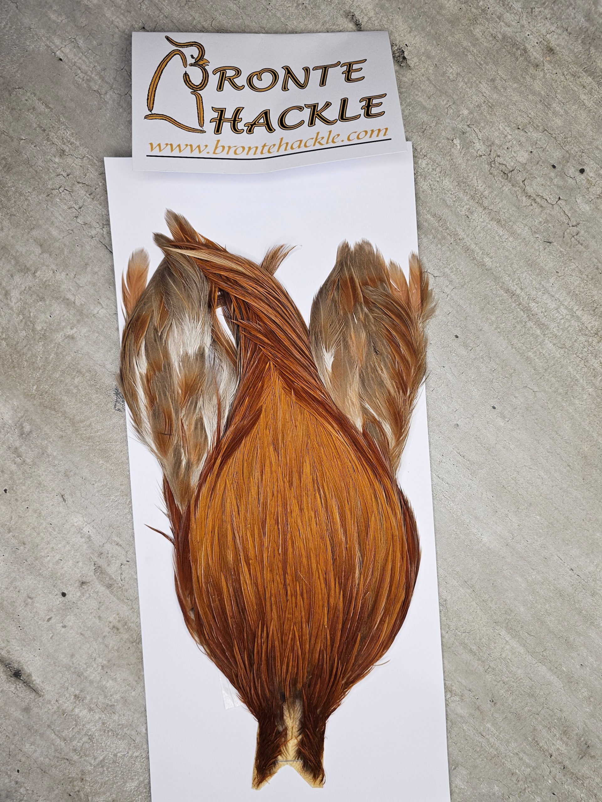 Bronte Hackle Cock Cape   cc-2026-24