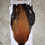Bronte Hackle Cock Cape   cc-2026-25