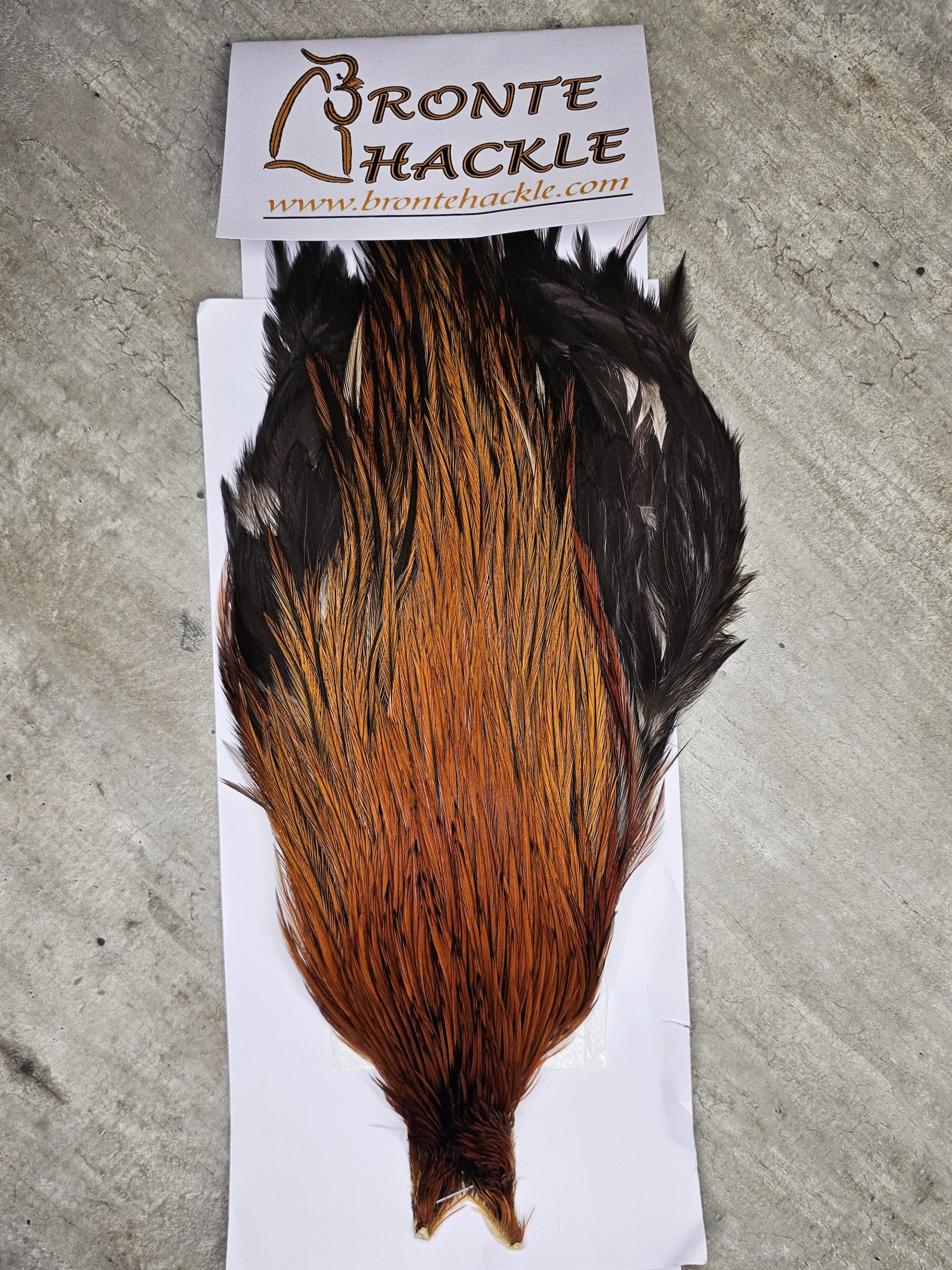 Bronte Hackle Cock Cape   cc-2026-25