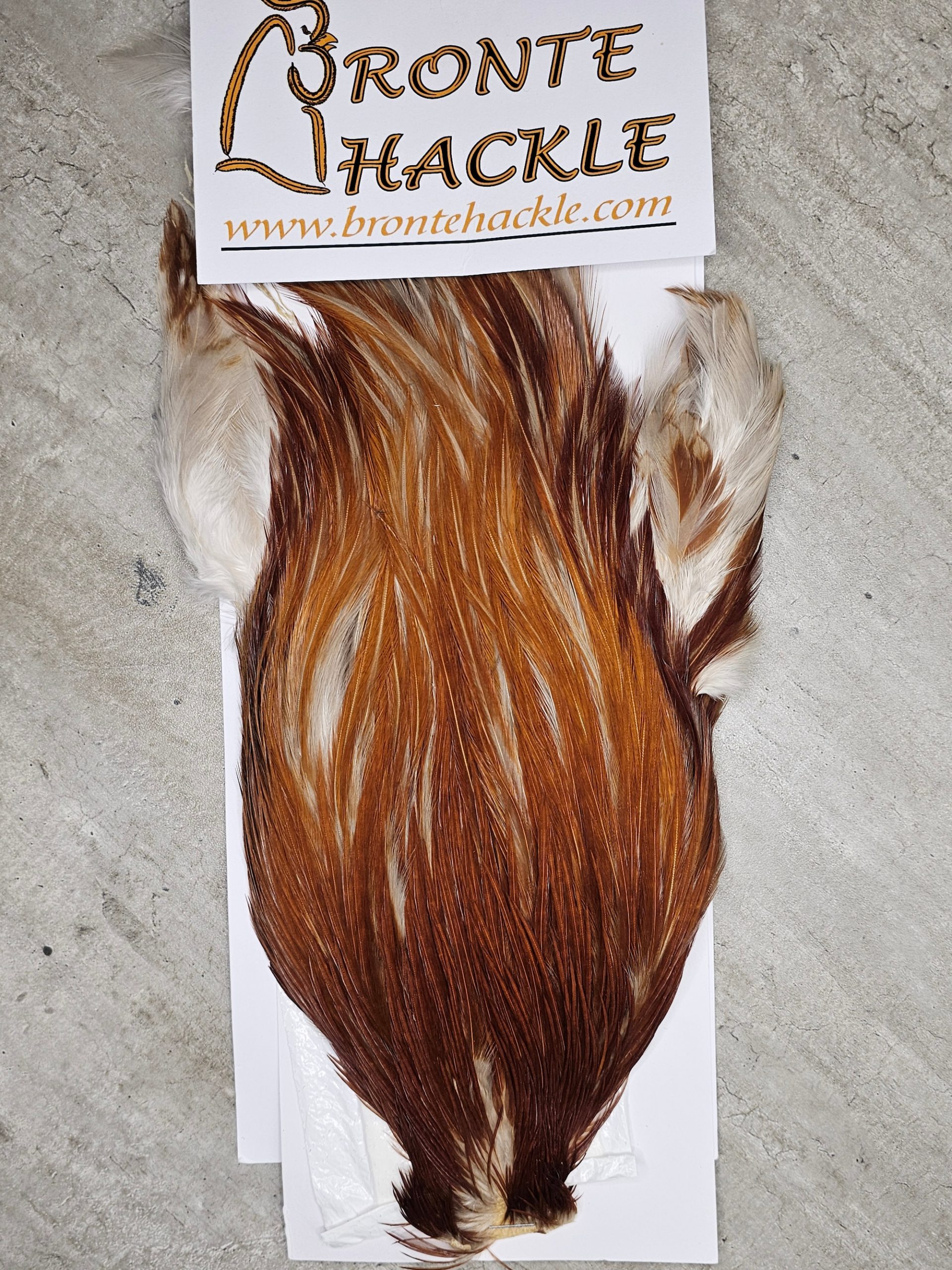 Bronte Hackle Cock Cape   cc-2019-57