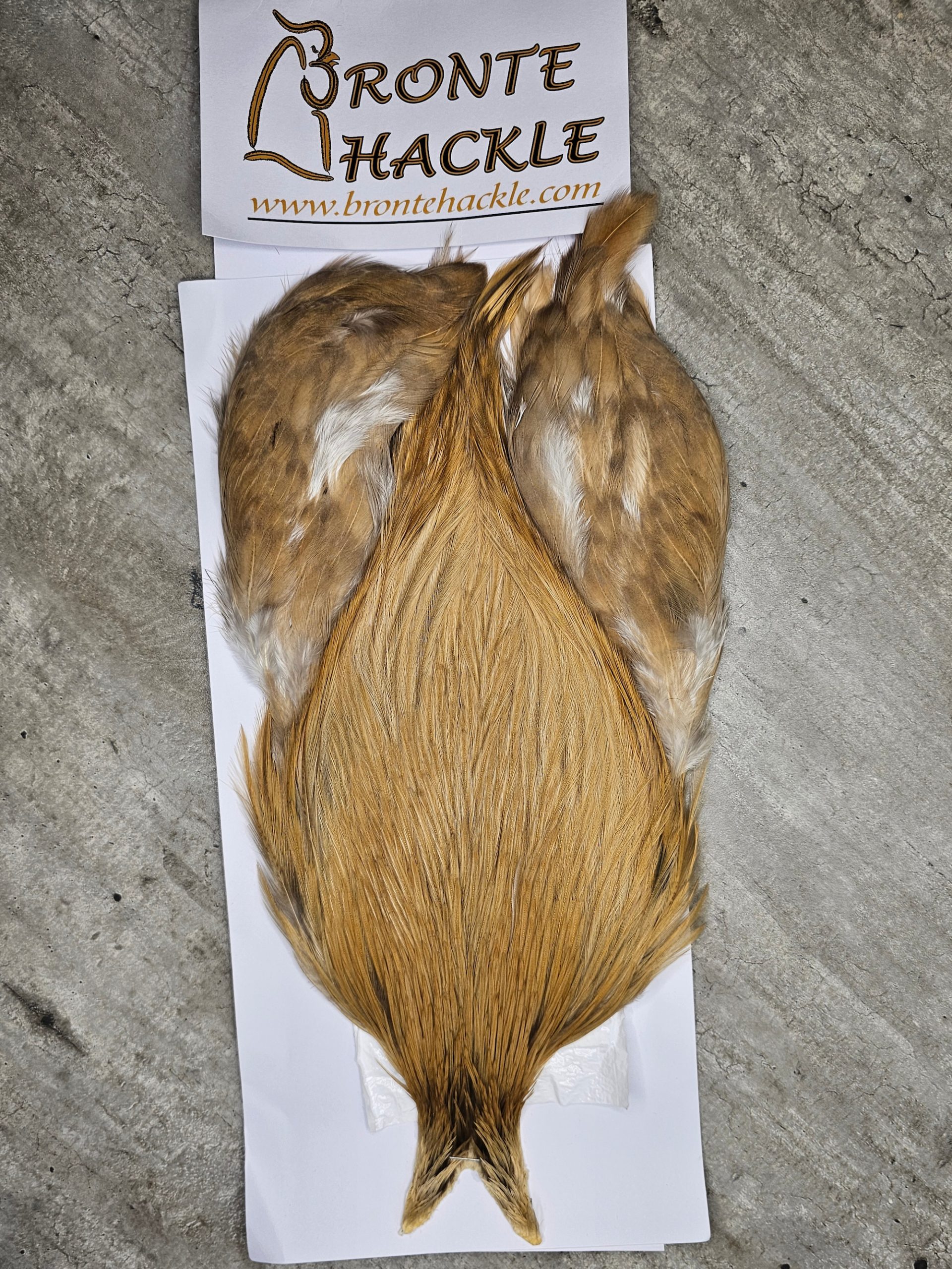 Bronte Hackle Cock Cape   cc-2026-25