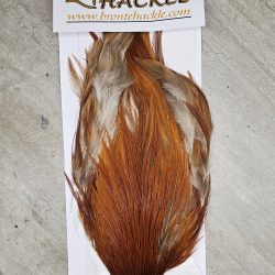 Bronte Hackle Cock Cape   cc-2019-56