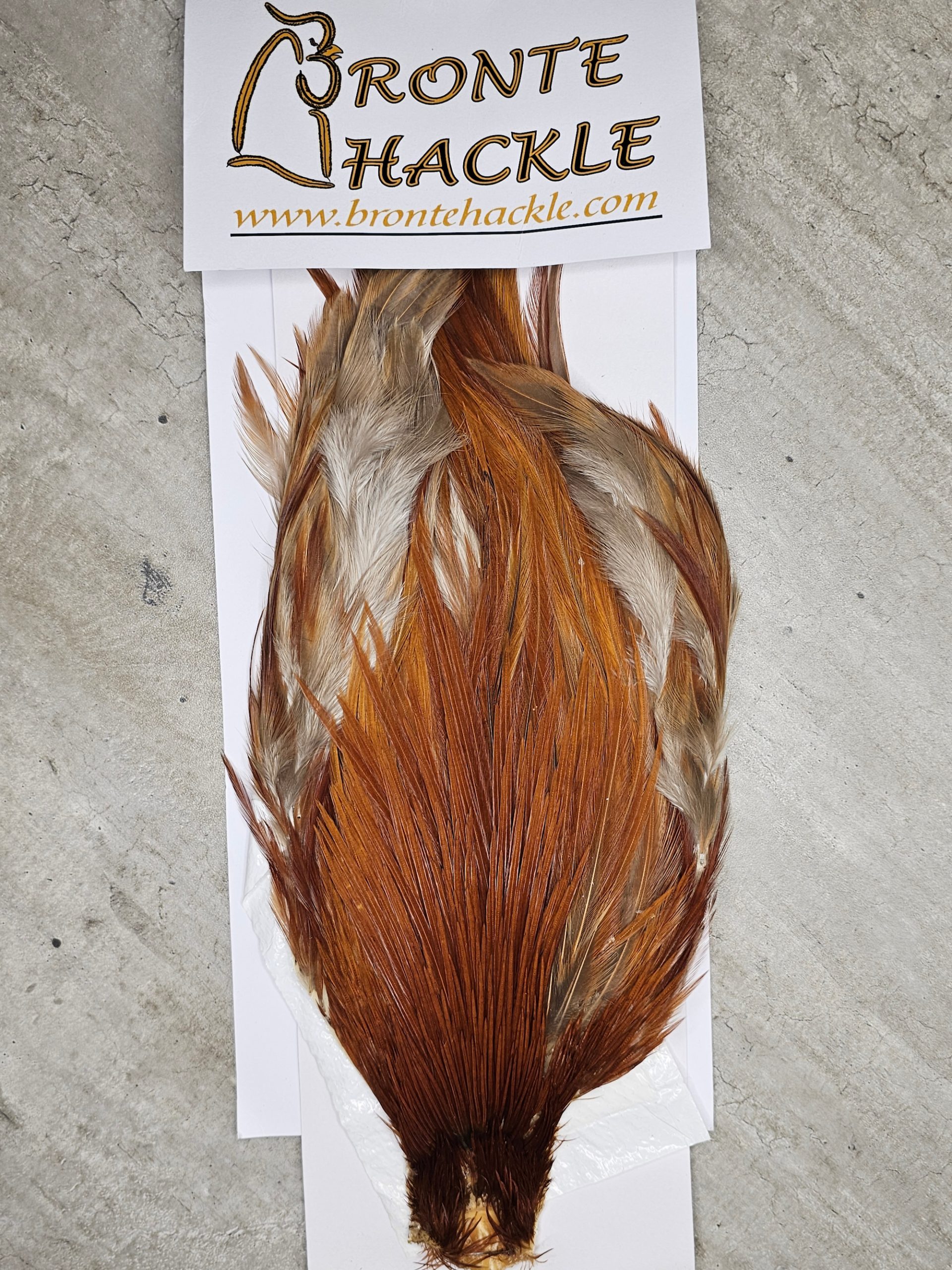 Bronte Hackle Cock Cape   cc-2019-56