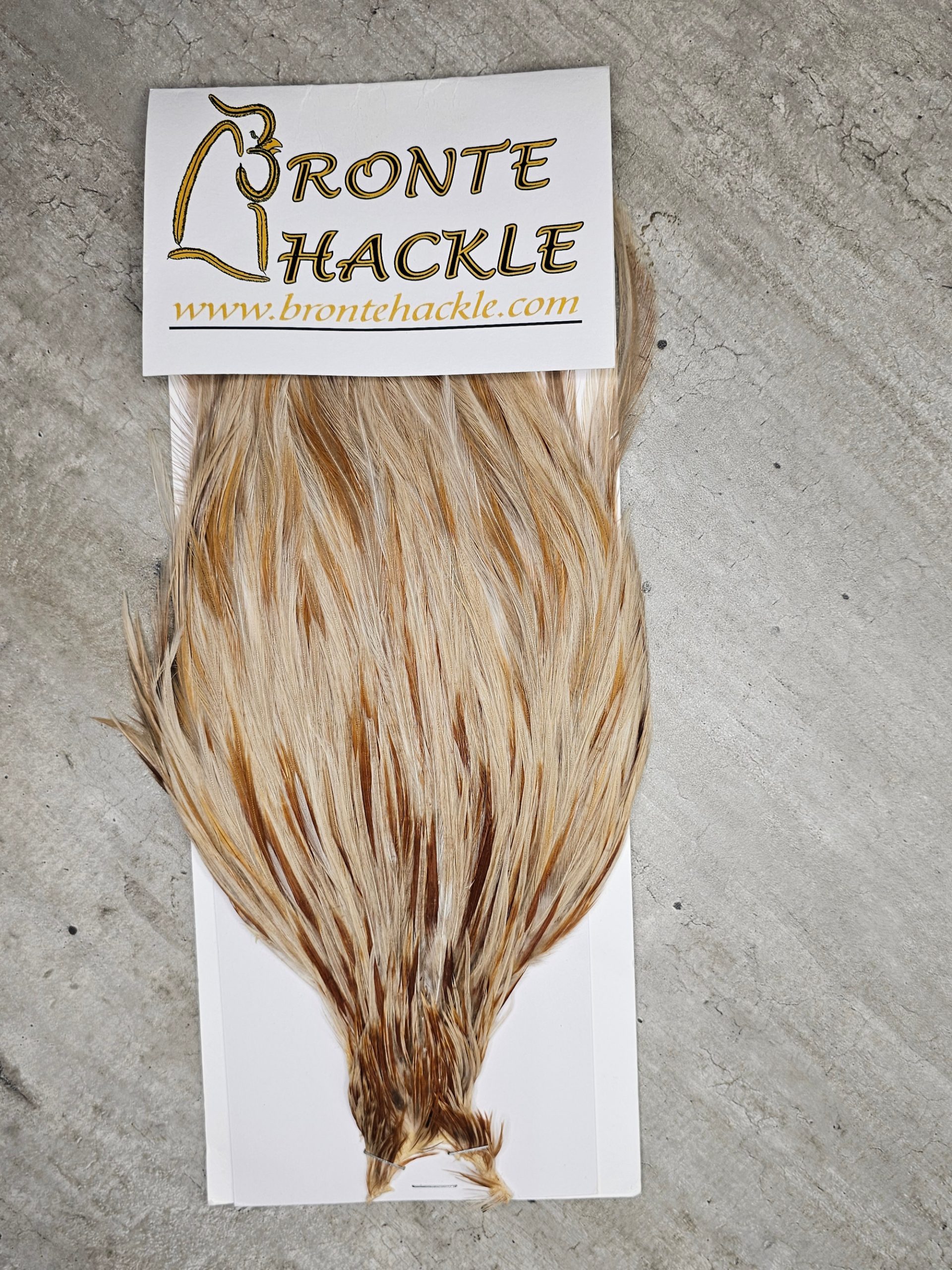 Bronte Hackle Cock Cape   cc-2019-71