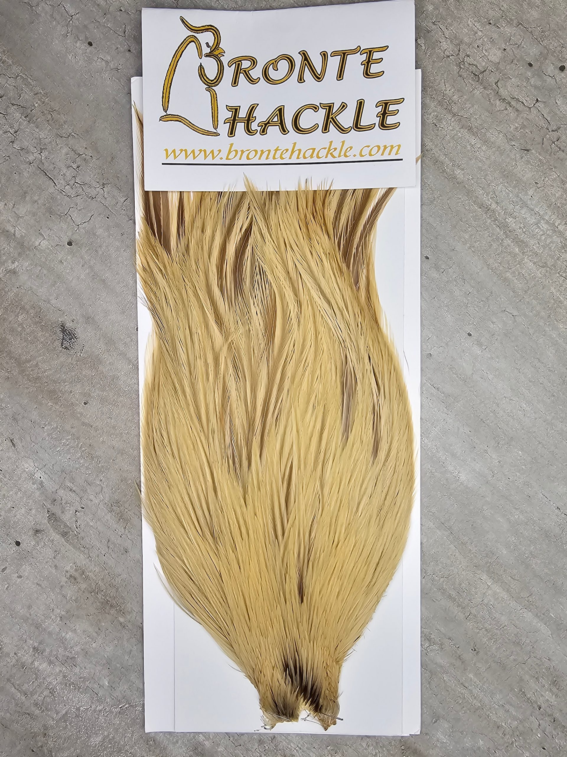 Bronte Hackle Cock Cape   cc-2019-72