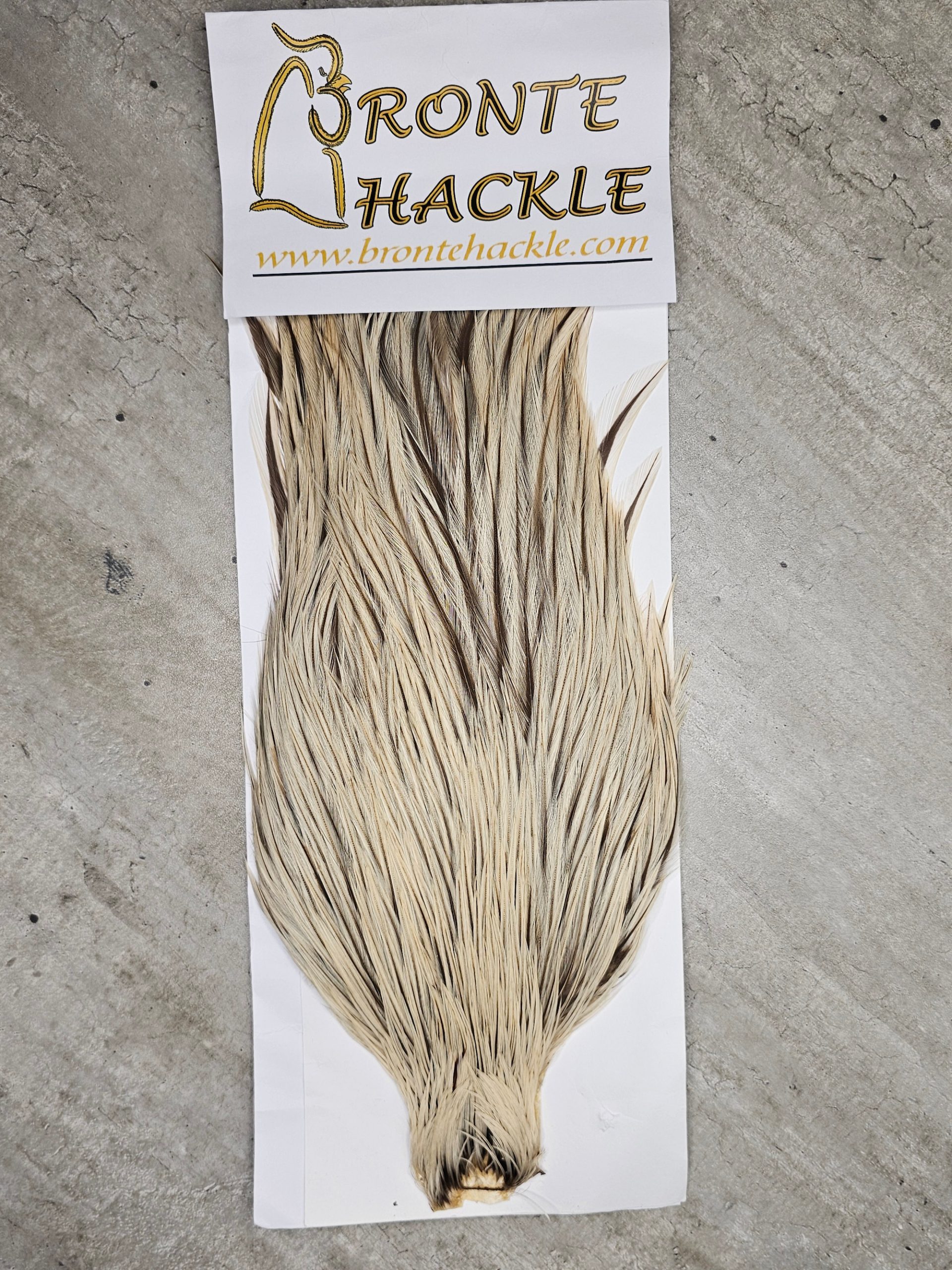 Bronte Hackle Cock Cape   cc-2019-74