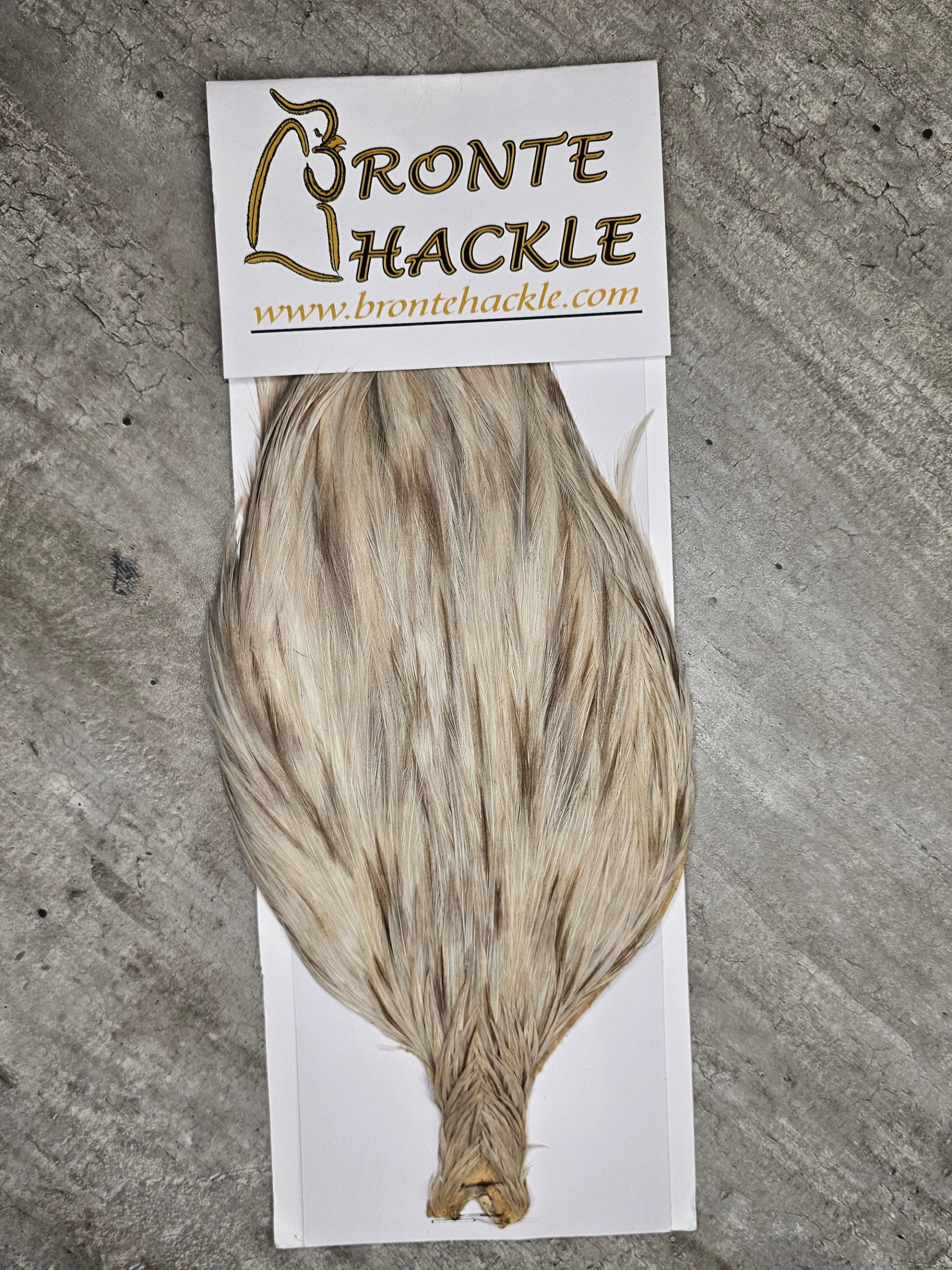 Bronte Hackle Cock Cape   cc-2019-67