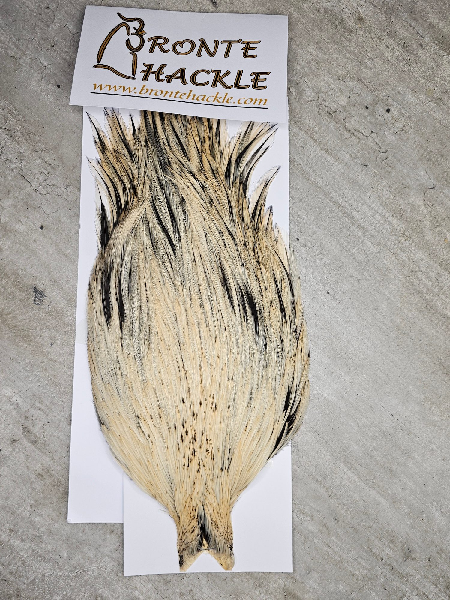 Bronte Hackle Cock Cape   cc-2019-62