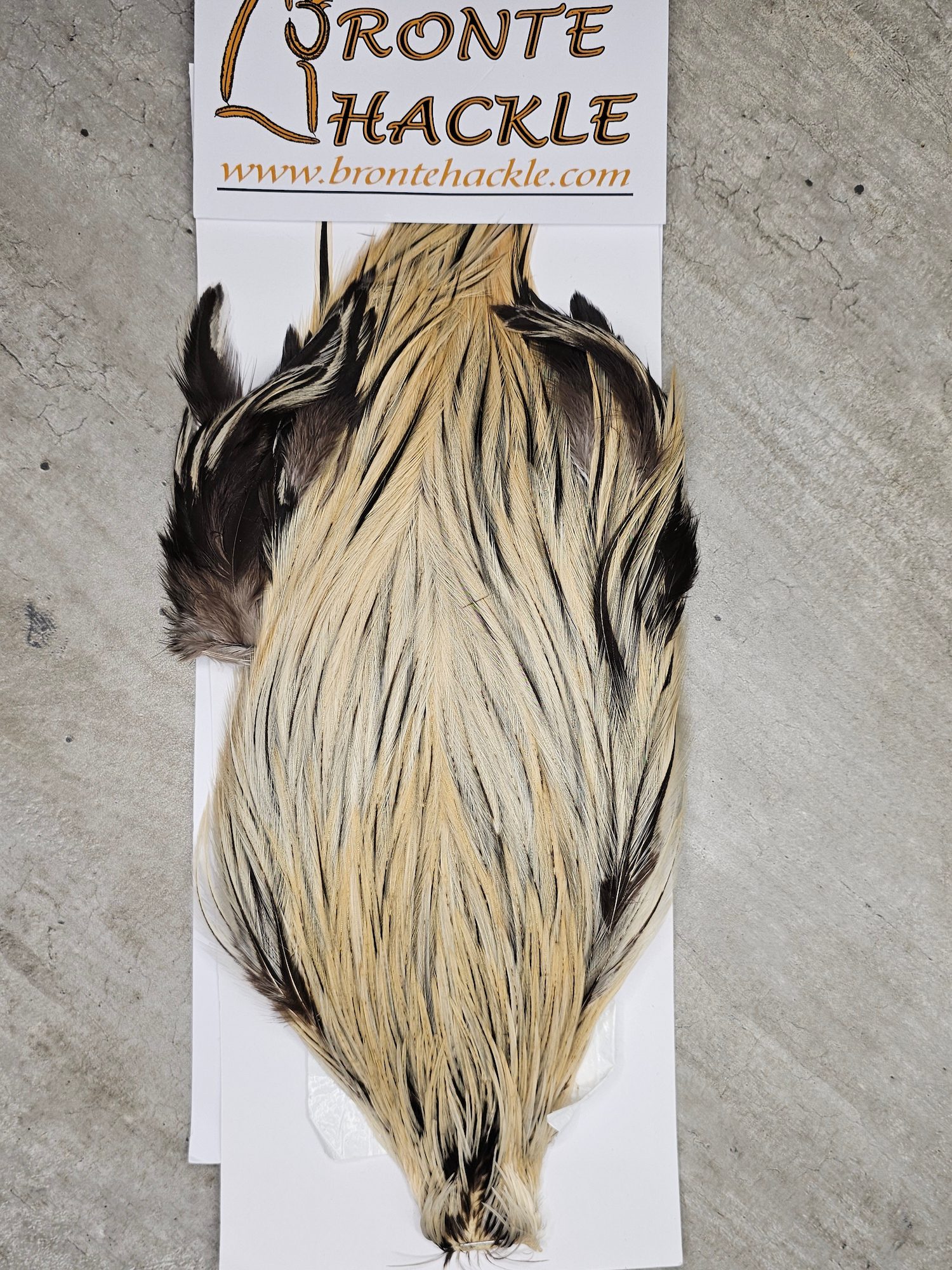 Bronte Hackle Cock Cape   cc-2019-42