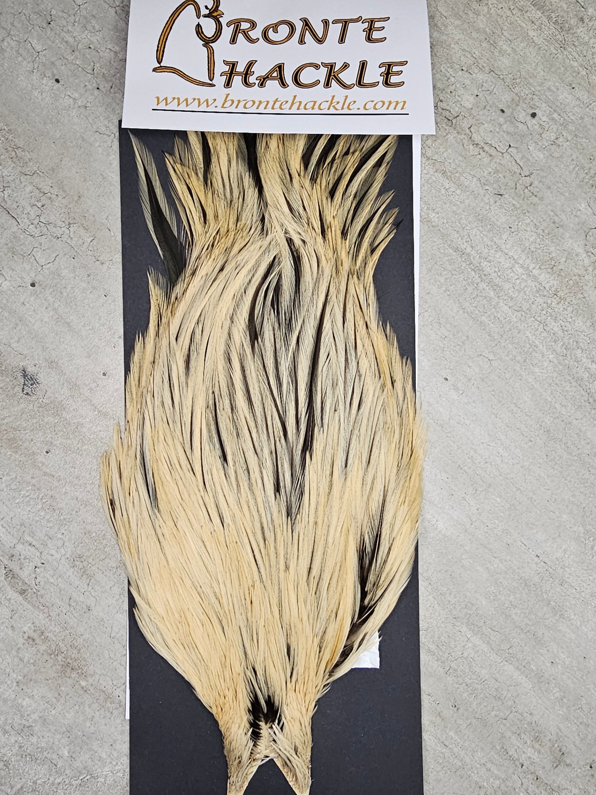 Bronte Hackle Cock Cape   cc-2019-36