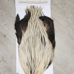 Bronte Hackle Cock Cape   cc-2019-60