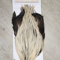 Bronte Hackle Cock Cape   cc-2019-60