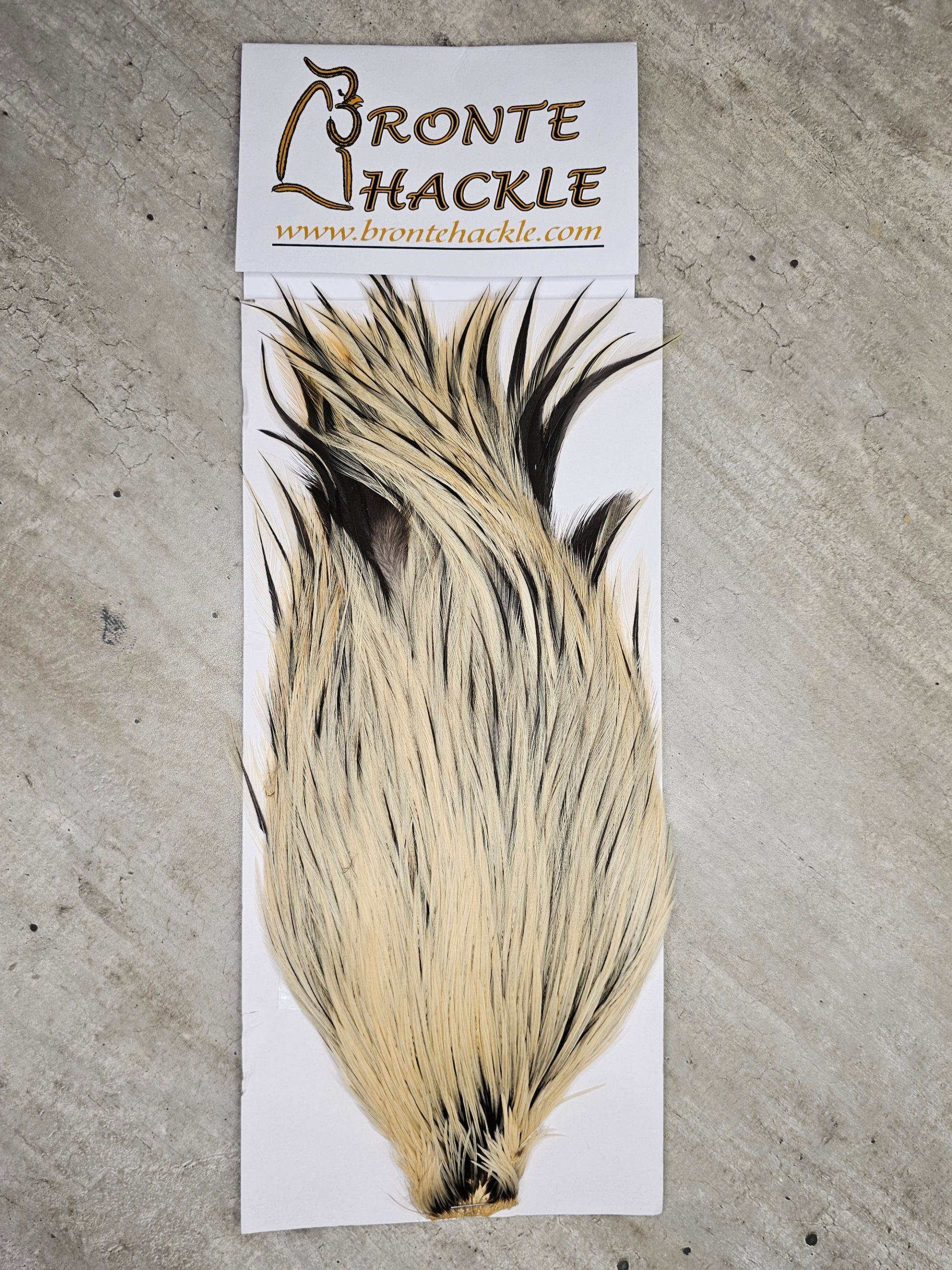 Bronte Hackle Cock Cape   cc-2019-61