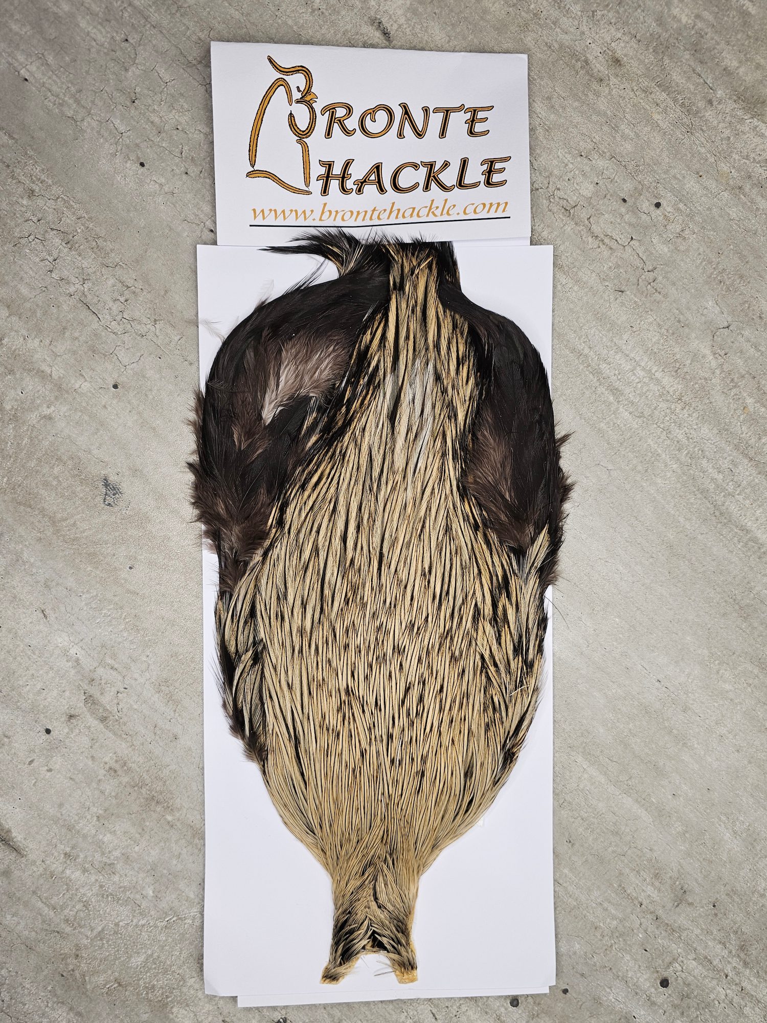 Bronte Hackle Cock Cape   cc-2026-26